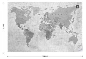 World Map Textured Monochrome