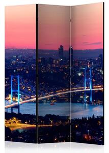 Paravan - Bosphorus Bridge [Room Dividers]
