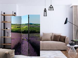 Paravan - Lavender fields [Room Dividers]