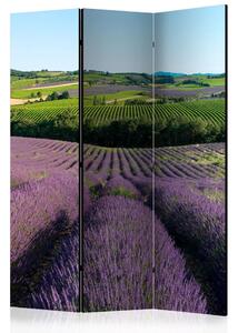 Paravan - Lavender fields [Room Dividers]