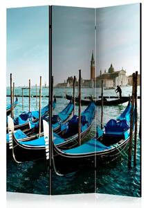 Paravan - Gondolas on the Grand Canal, Venice [Room Dividers]