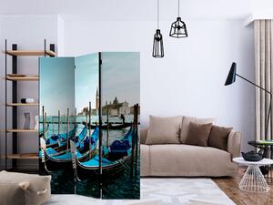 Paravan - Gondolas on the Grand Canal, Venice [Room Dividers]
