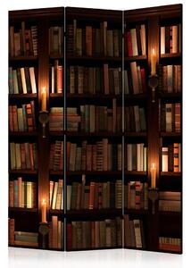 Paravan - Bookshelves [Room Dividers]