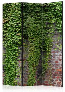 Paravan - Brick and ivy [Room Dividers]