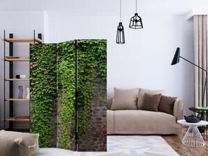 Paravan - Brick and ivy [Room Dividers]