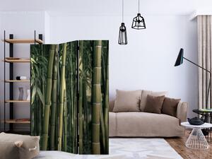 Paravan - Bamboo Exotic [Room Dividers]