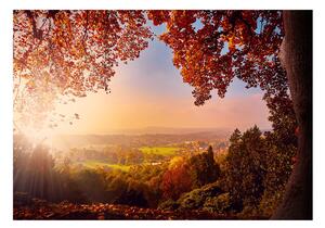 Fototapet - Autumn Delight