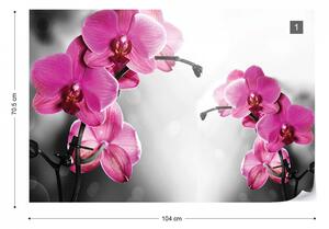 Pink Orchids Flowers Photo Wallpaper Wall Mural
