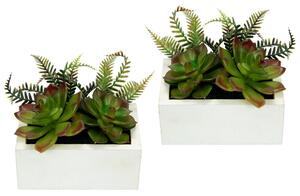 Set de 2 plante artificiale The Seasonal Aisle, verde/alb, 11 x 8 x 13 cm