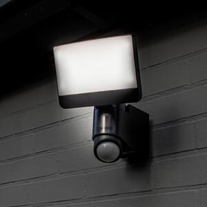 LUTEC Proiector exterior cu senzor LED SUNSHINE, 25 cm, gri închis, IP54, Gri, Plastic, Modern, Spot de perete
