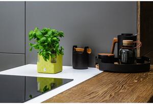 Ghiveci sistem de auto-udare Flower Lover Cobble, 14 x 14 cm, verde fistic