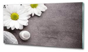 Tablou din Sticlă gerbera