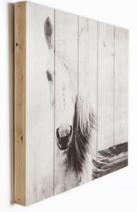 Tablou din lemn 50x50 cm Cal - Graham & Brown