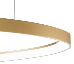 Lustră LED dimabilă pe cablu Ideal Lux GEMINI LED/48W/230V d. 61 cm auriu