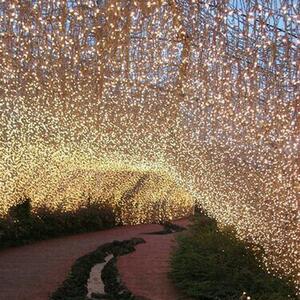 Ghirlanda Luminoasa Decorativa din Cupru 50 m. cu 500 LEDuri
