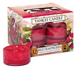 Set 12 lumânări parfumate Yankee Candle Red Raspberry, timp de ardere 4 h