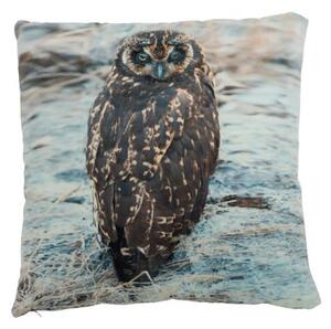 Owl Perna decorativa, Textil, Maro
