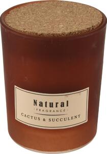 Lumânare parfumată în borcan Cactus and Pine, 8 x 10 cm, 200 g
