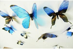 Set 18 autocolante 3D Ambiance Butterflies, albastru