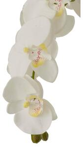 Ory Orhidee cu pamant, Plastic, Alb