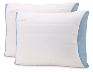 2xDORMEO MEMOSAN PILLOW CLASSIC HC4 50X70