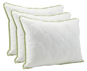 3xDORMEO perna clasica Aloe Vera 50X70 cm