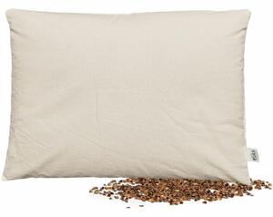 Pernă Buckwheat, 40 x 60 cm, 40 x 60 cm