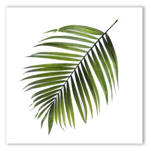 Tablou Styler Canvas Greenery Black Palm, 32 x 32 cm