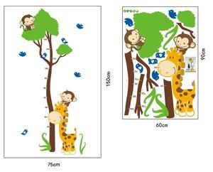 Autocolant masurator inaltime - copac cu girafa si maimute - grafic de crestere