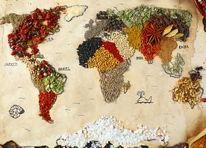 Sticker decorativ - Harta Lumii din Condimente