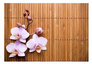 Covoraș din vinilin Orchid, 52 x 75 cm