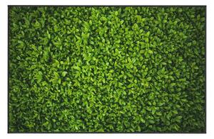 Covor Oyo home Ivy, 80 x 140 cm, verde
