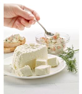Formă din silicon pentru brânza homemade Lékué Cheese, alb - verde