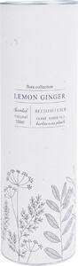 Difuzor de arome Flora Collection, Lemon Ginger, 100 ml, 6 x 9,5 cm