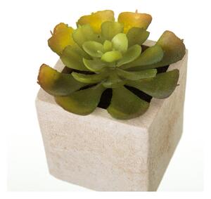 Plante artificiale 6 buc. (înălțime 9,5 cm) Cactus – Casa Selección