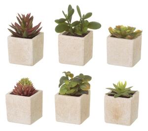 Set 6 flori artificiale Casa Selección Cactus