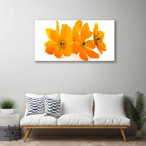 Tablou pe panza canvas Flori Floral Orange