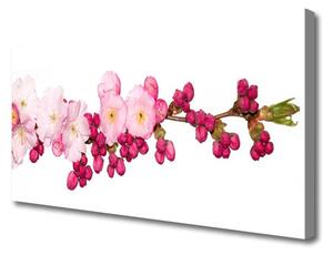 Tablou pe panza canvas Flower Branch Floral roz
