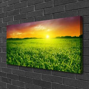 Tablou pe panza canvas Cereale Câmp Sunrise Floral Verde Roșu