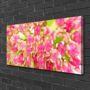 Tablou pe panza canvas Floare roz Floral
