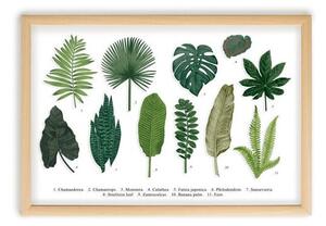 Tablou cu ramă din lemn de pin Surdic Leafes Guide, 50 x 70 cm