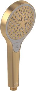 Villeroy & Boch Verve Showers duș de mână auriu TVS10900100076