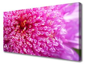 Tablou pe panza canvas Florale flori roz