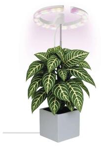Lampă LED dimabilă de interior pentru cultivarea plantelor GROW LED/8W/5V