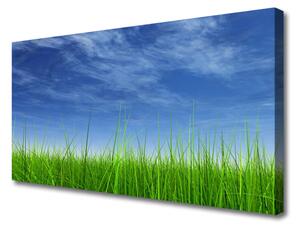 Tablou pe panza canvas Sky Grass Nature Albastru Verde