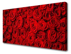 Tablou pe panza canvas Trandafiri Floral Roșu Verde Alb