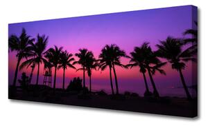 Tablou pe panza canvas Palm Copaci Peisaj negru violet roz