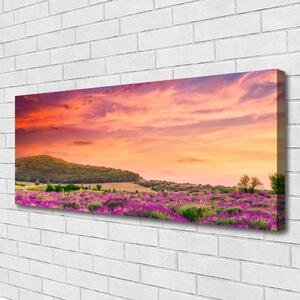 Tablou pe panza canvas Meadow Flori Peisaj Purple Verde Roz