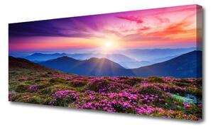Tablou pe panza canvas Muntii Meadow Flori Peisaj Violet Roz Albastru Verde