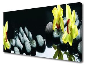 Tablou pe panza canvas Pietrele florale flori galben negru
